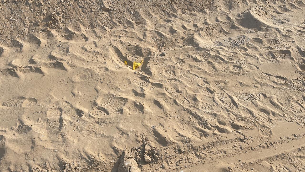 Landscaping with Al Bania 3